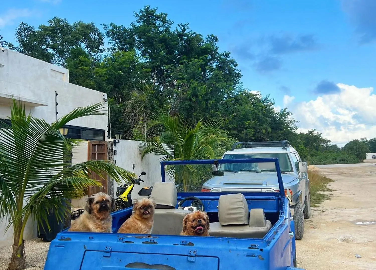 Vila Sotik Tulum House