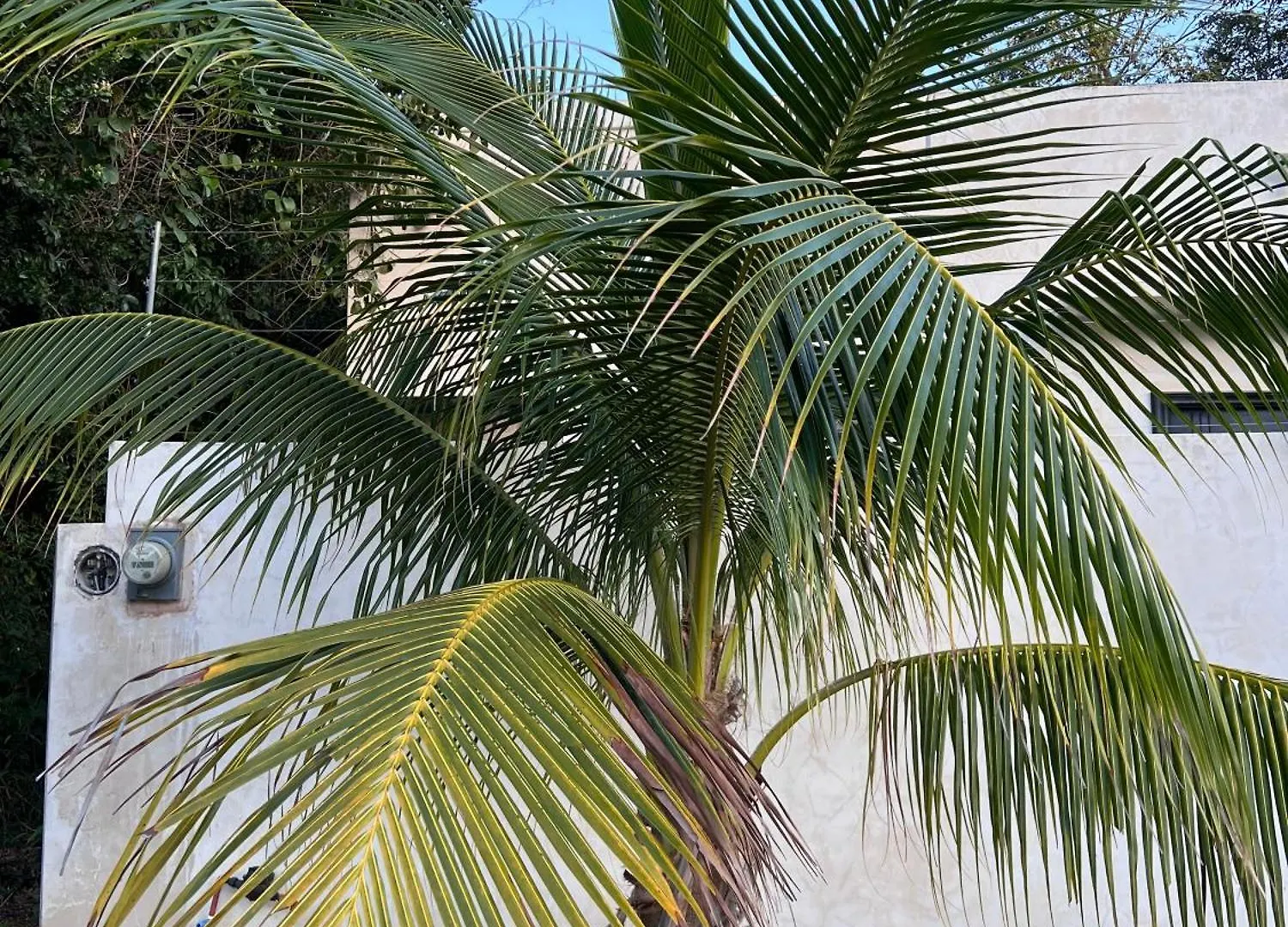 Vila Sotik Tulum House